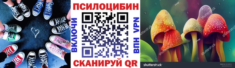 как найти наркотики  Коломна  Псилоцибиновые грибы прущие грибы 